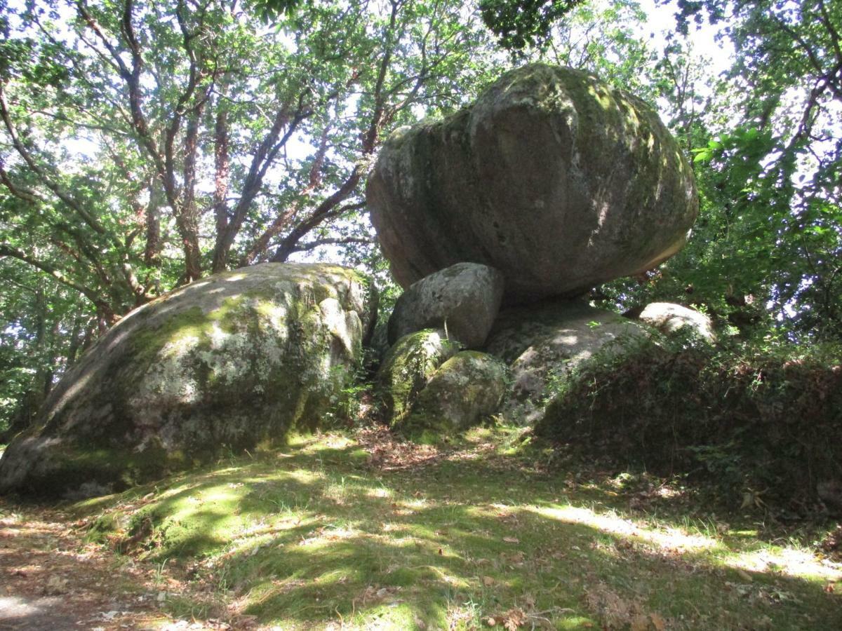 TréguncDomaine Les Grandes Roches住宿加早餐旅馆 外观 照片