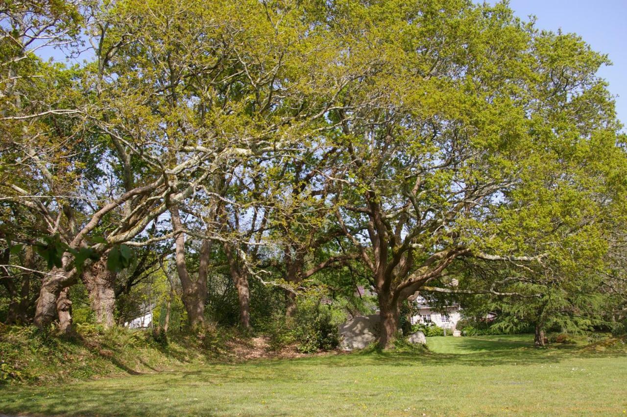 TréguncDomaine Les Grandes Roches住宿加早餐旅馆 外观 照片